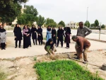 روز درختکاری