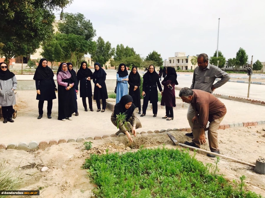 روز درختکاری