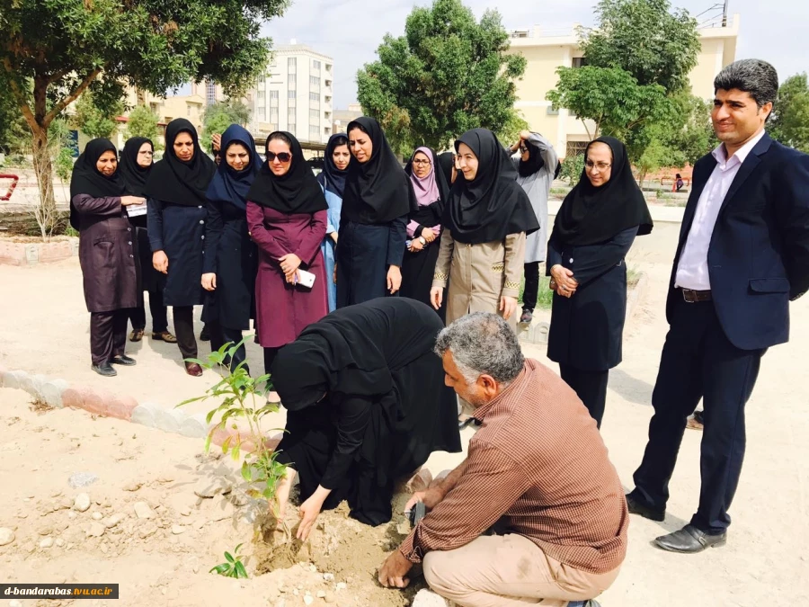 روز درختکاری
