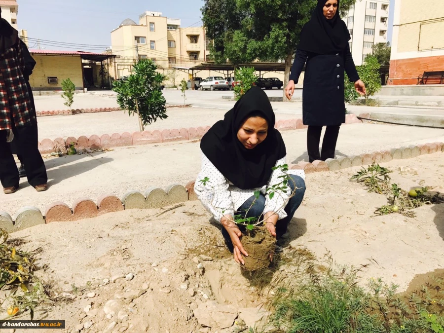 روز درختکاری