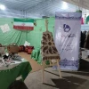 آغاز جشنواره بین المللی مسیر جرون از جزیره هرمز 4
