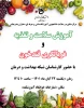 آموزش سلامت و تغذیه و غربالگری قند خون 2