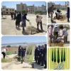 کاشت نهال مثمر ، درختچه و گل زینتی به مناسبت روز درختکاری 2